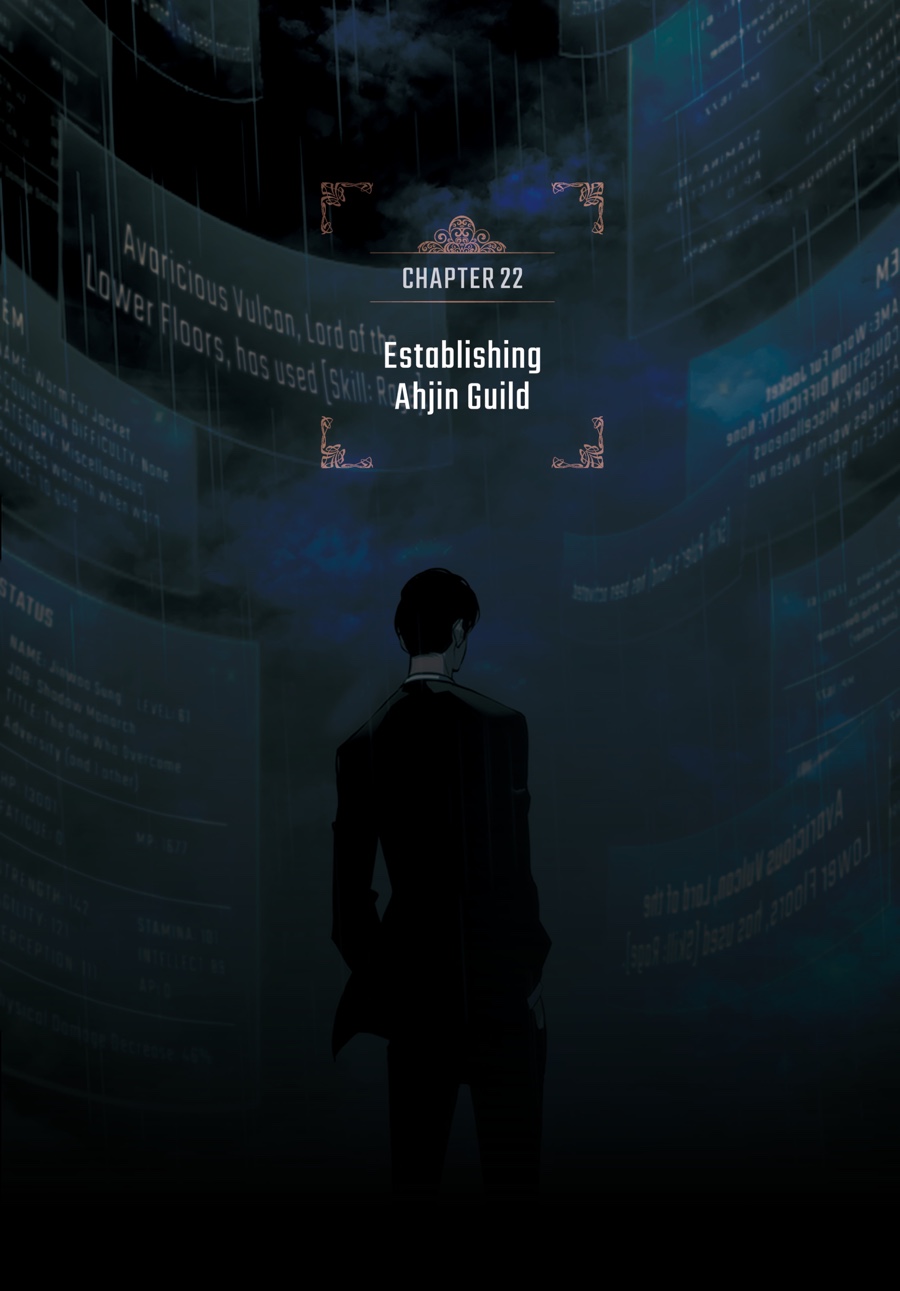 Solo Leveling